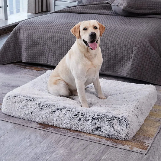 plush dog sofa bed - winter ready