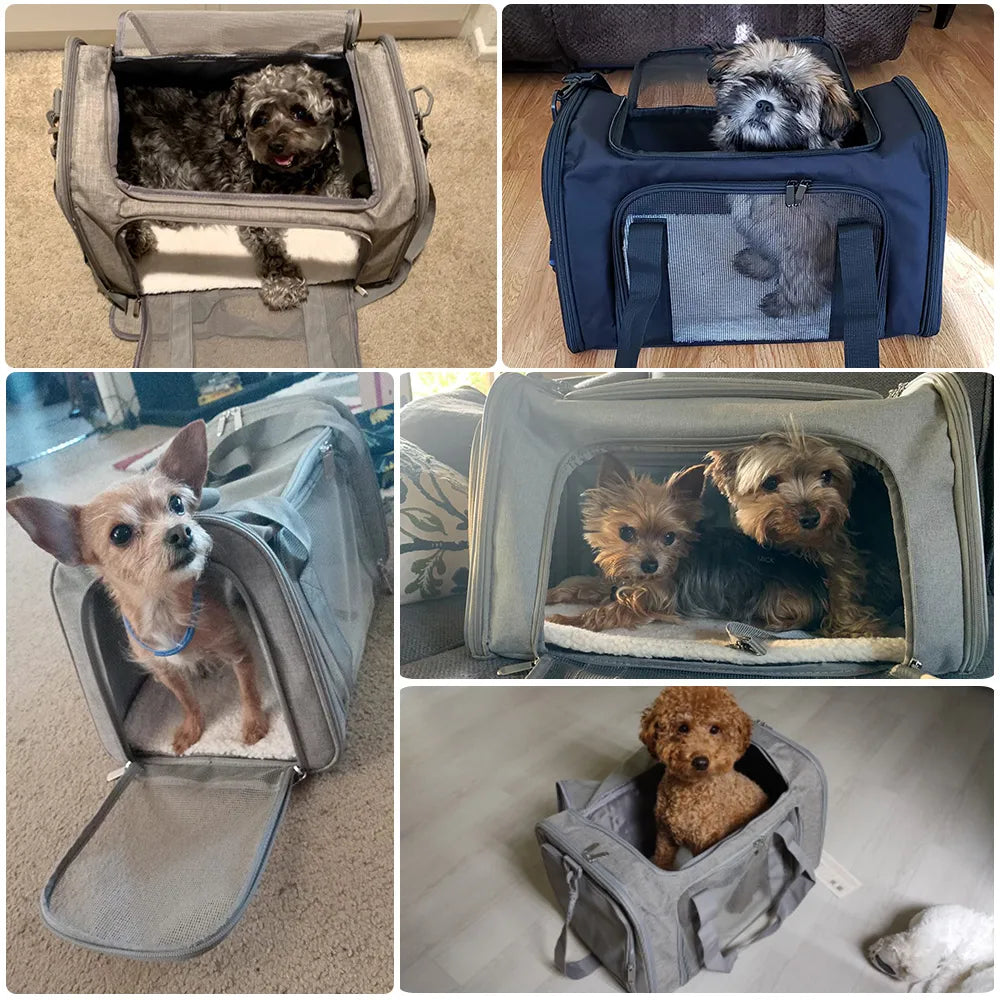 Dog Transport Bag